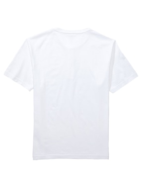 Playera American Eagle cuello henley para hombre
