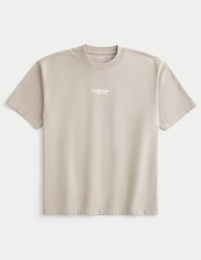 Playera Hollister cuello redondo para hombre