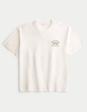 Playera Hollister cuello redondo para hombre