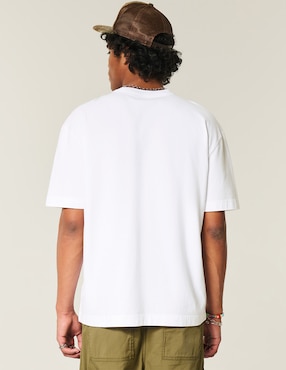 Playera Hollister cuello redondo para hombre