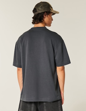 Playera Hollister cuello redondo para hombre