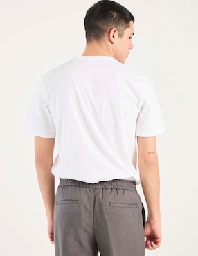 Playera Hollister cuello redondo para hombre