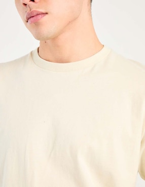 Playera Hollister cuello redondo para hombre