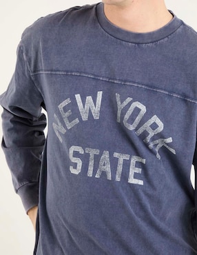 Playera Hollister cuello redondo para hombre