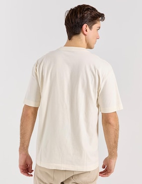 Playera Hollister cuello redondo para hombre