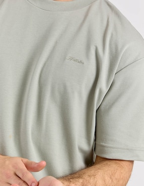 Playera Hollister cuello redondo para hombre