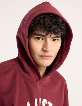 Sudadera Hollister para hombre