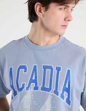 Playera American Eagle cuello redondo para hombre