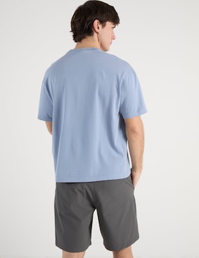 Playera American Eagle cuello redondo para hombre