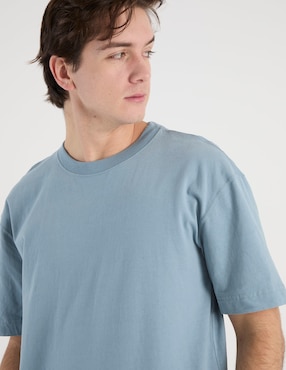 Playera Hollister cuello redondo para hombre