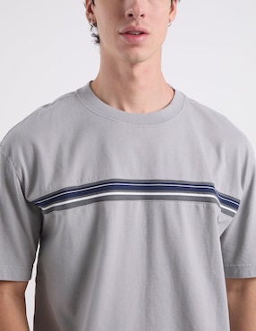 Playera Hollister cuello redondo para hombre