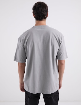 Playera Hollister cuello redondo para hombre