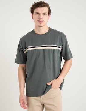Playera Hollister cuello redondo para hombre