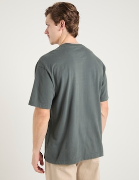 Playera Hollister cuello redondo para hombre