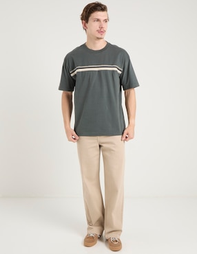 Playera Hollister cuello redondo para hombre