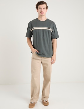 Playera Hollister cuello redondo para hombre