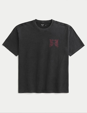 Playera Hollister cuello redondo para hombre