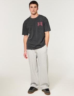 Playera Hollister cuello redondo para hombre