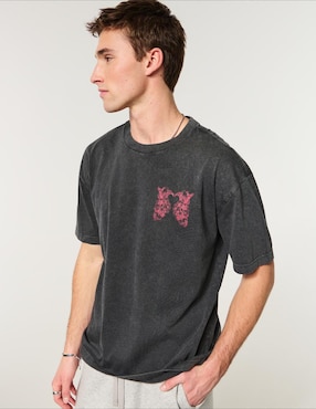 Playera Hollister cuello redondo para hombre