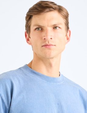 Playera Hollister cuello redondo para hombre