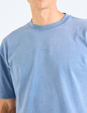 Playera Hollister cuello redondo para hombre