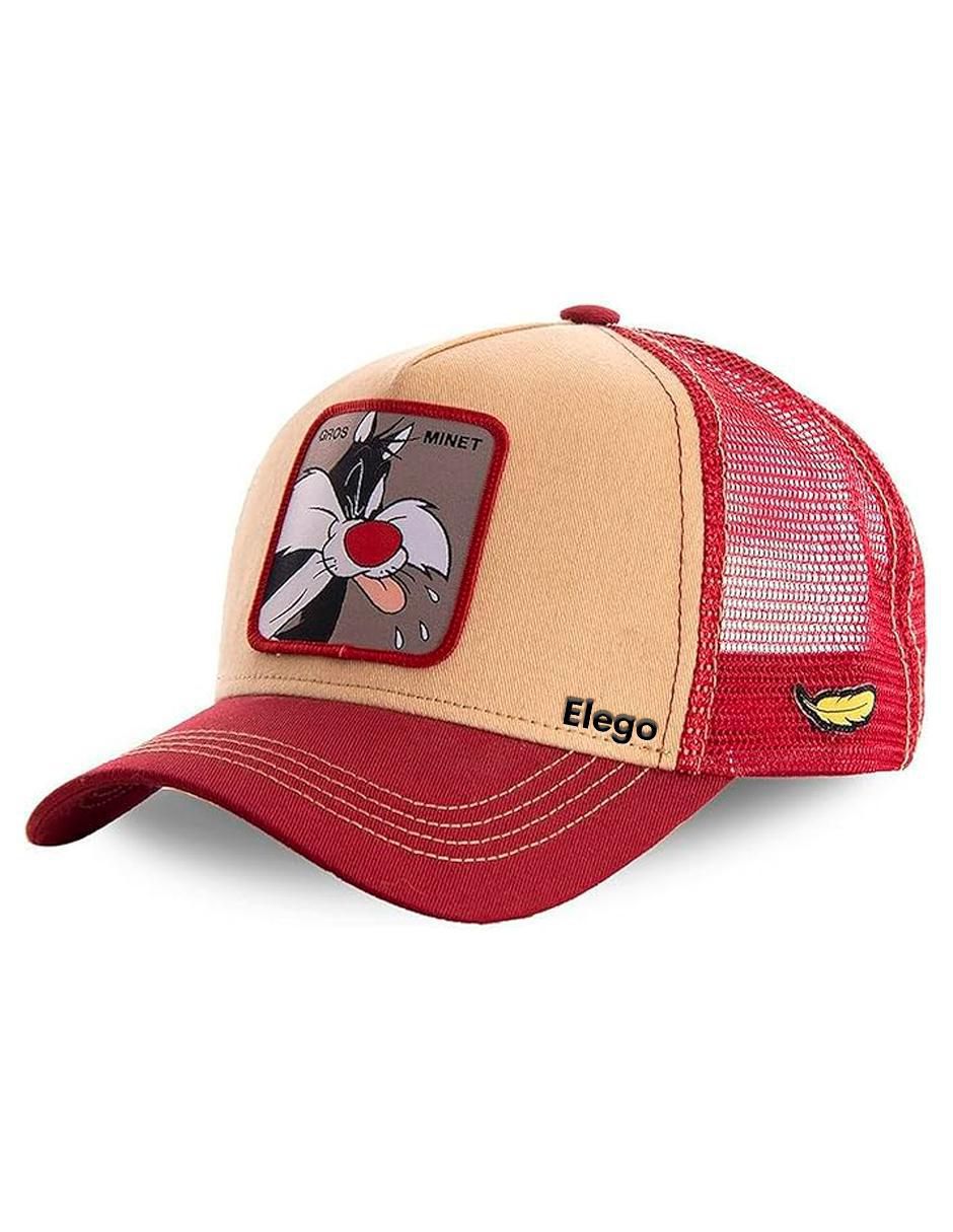 Gorra visera curva snapback casual Looney Tunes para niño