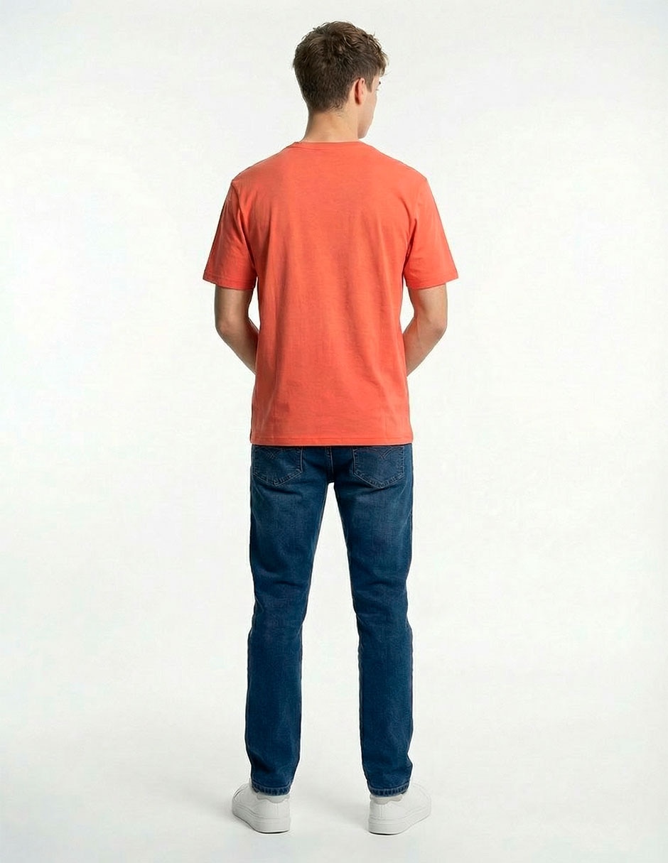 Playera Tropical Mood cuello redondo para hombre 2