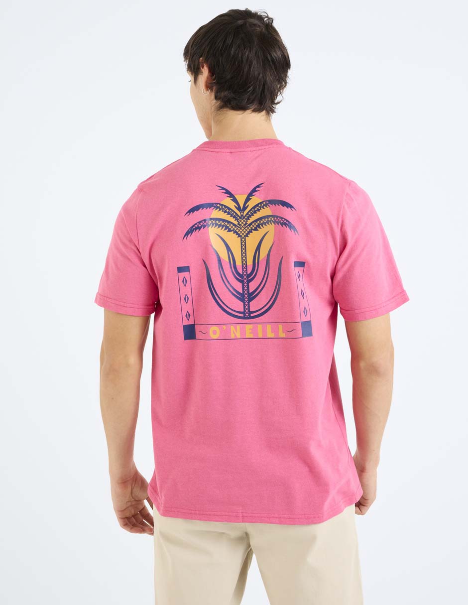 Playera cuello redondo para hombre 6