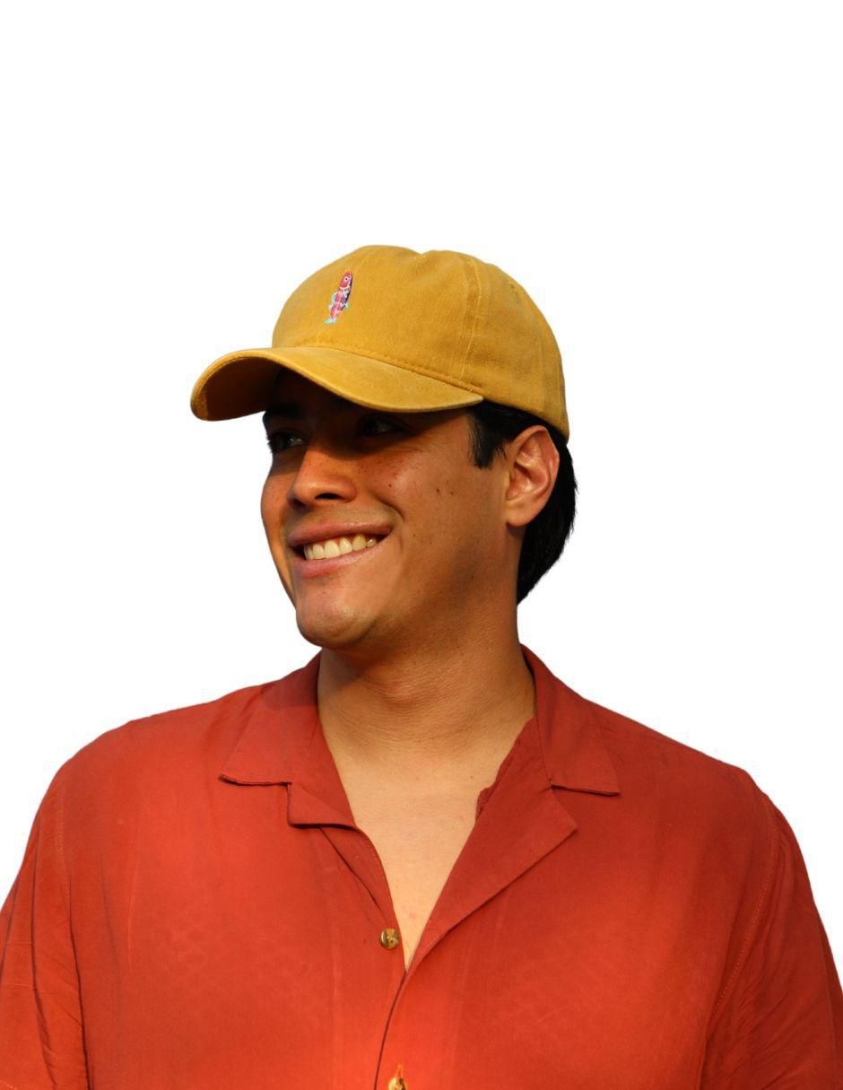 Gorra con visera curva "para" ninguna despierta will-is sin familia no aplica no aplica "para" unisex